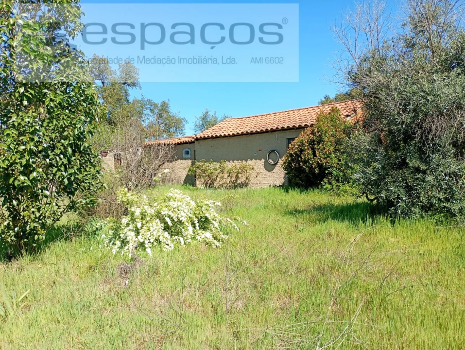 Quinta T1 para Venda em Freixial e Juncal do Campo Foto 1