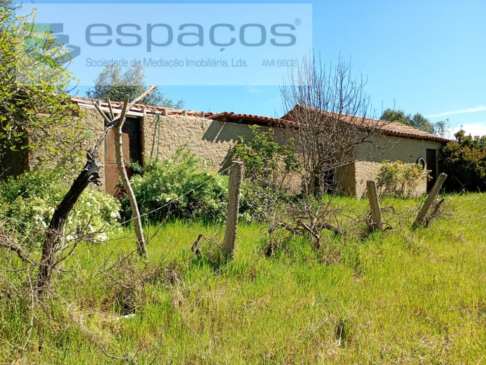 Quinta T1 para Venda em Freixial e Juncal do Campo Foto 5