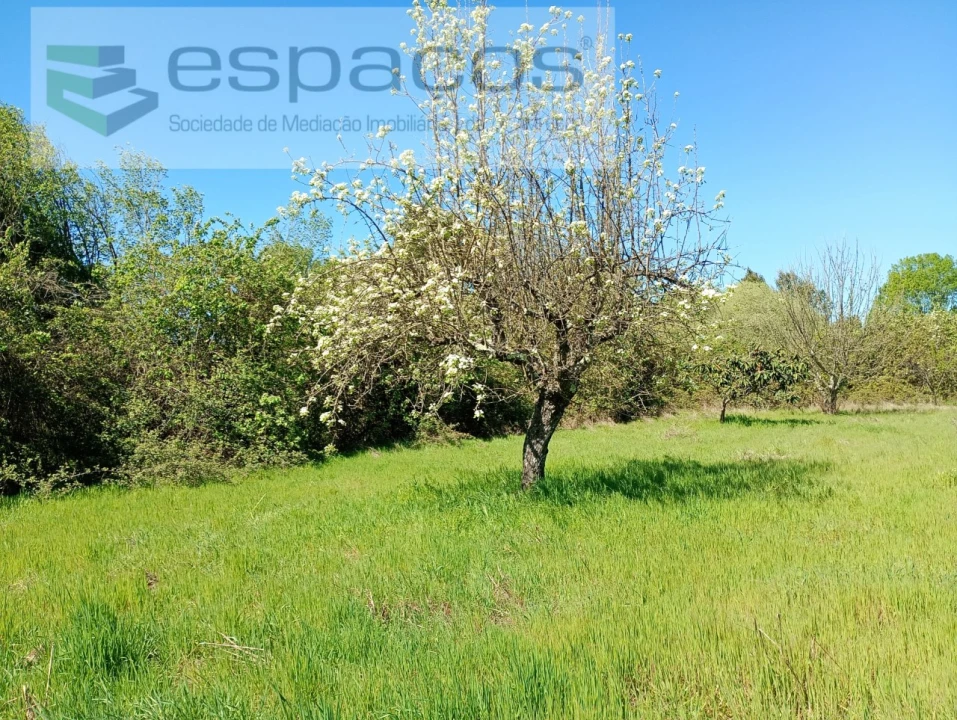 Quinta T1 para Venda em Freixial e Juncal do Campo Foto 6