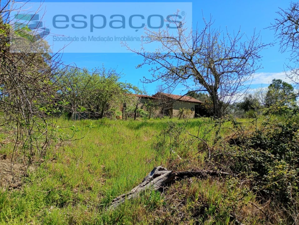 Quinta T1 para Venda em Freixial e Juncal do Campo Foto 8