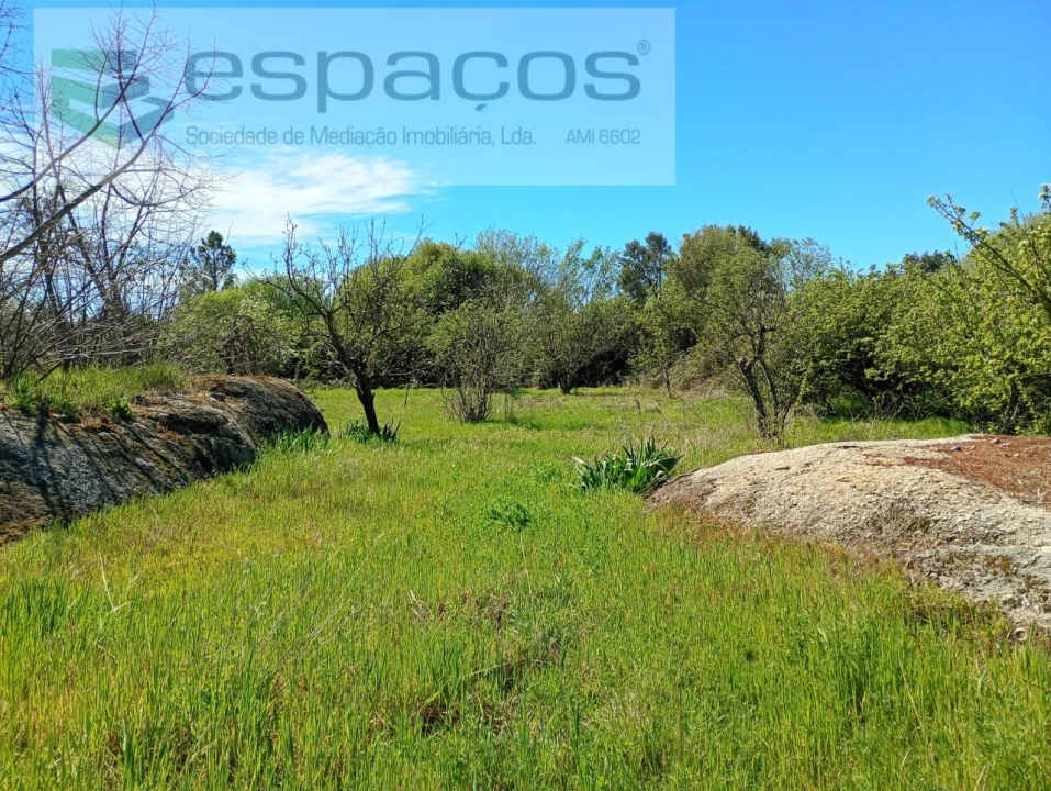 Quinta T1 para Venda em Freixial e Juncal do Campo Foto 14