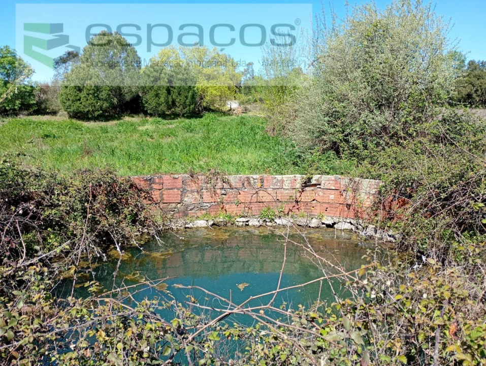 Quinta T1 para Venda em Freixial e Juncal do Campo Foto 15