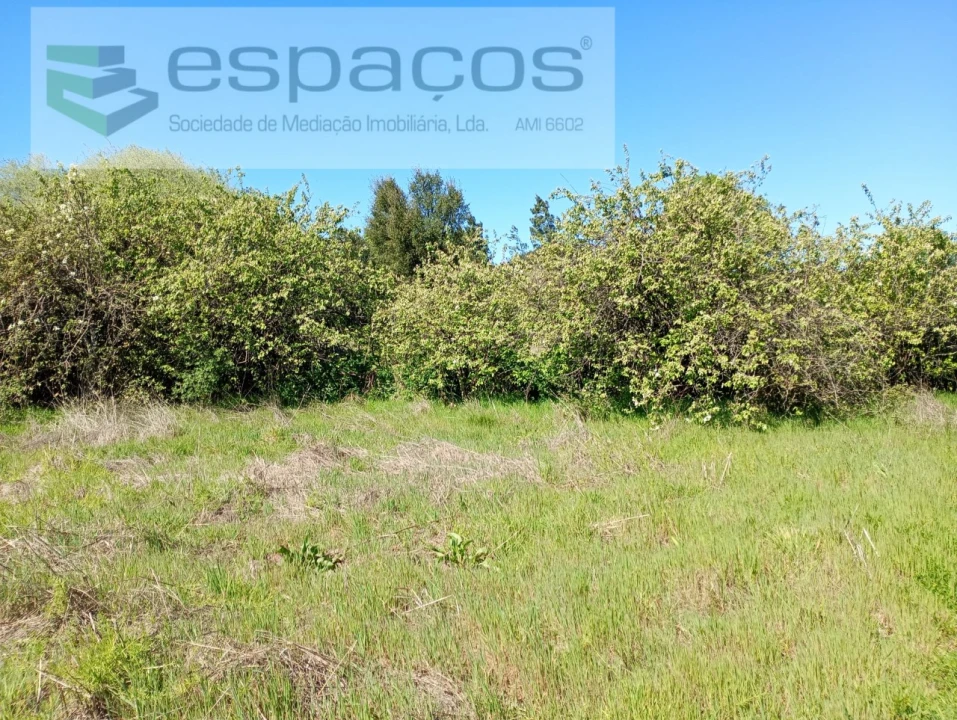 Quinta T1 para Venda em Freixial e Juncal do Campo Foto 16