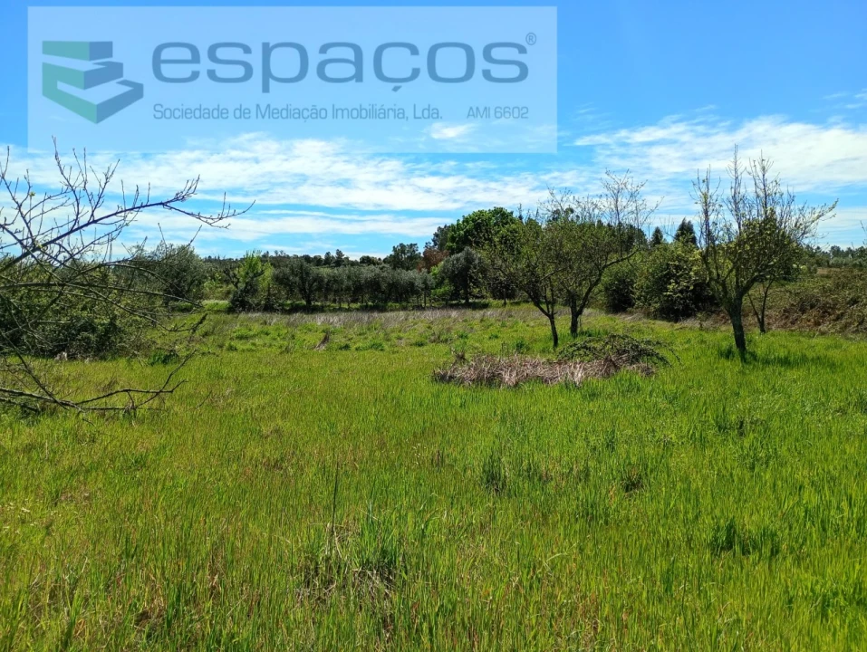 Quinta T1 para Venda em Freixial e Juncal do Campo Foto 18