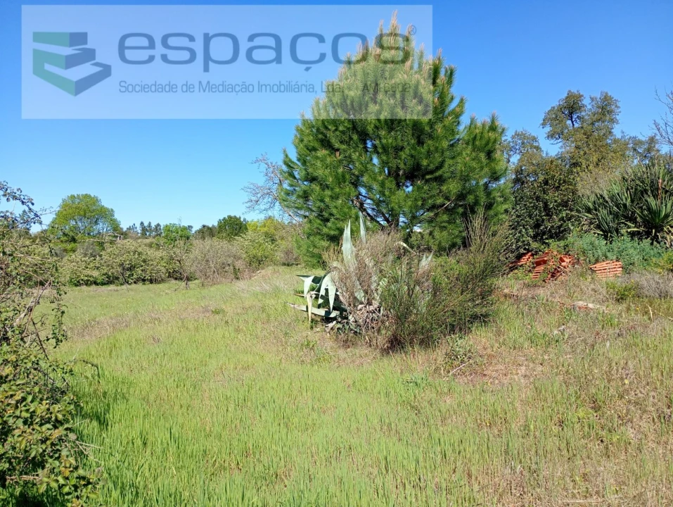 Quinta T1 para Venda em Freixial e Juncal do Campo Foto 19
