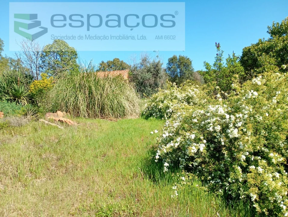Quinta T1 para Venda em Freixial e Juncal do Campo Foto 20