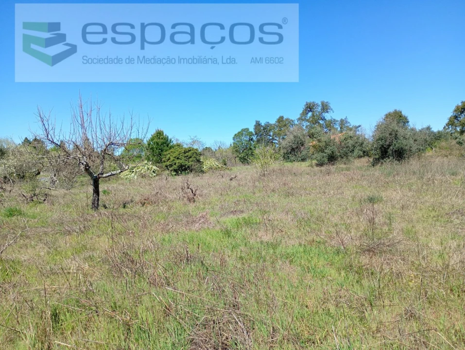 Quinta T1 para Venda em Freixial e Juncal do Campo Foto 21