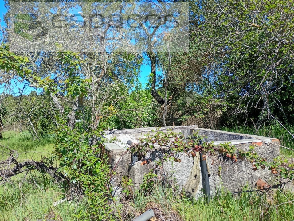 Quinta T1 para Venda em Freixial e Juncal do Campo Foto 22