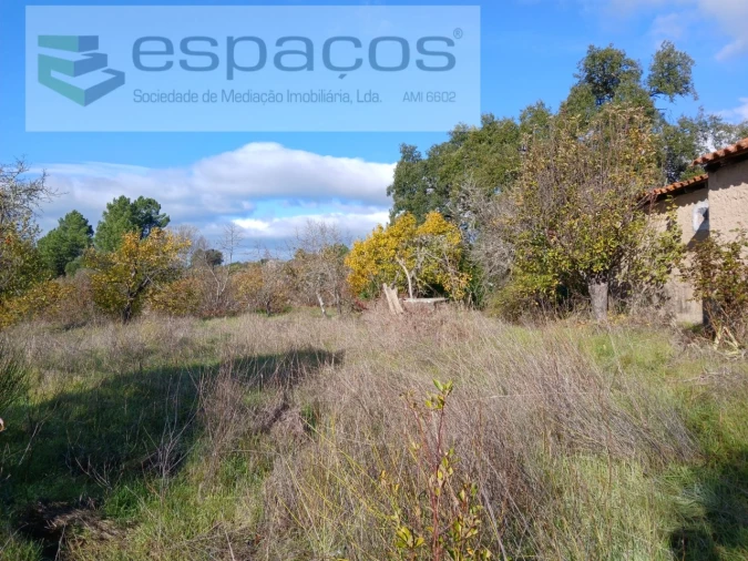 Quinta T1 para Venda em Freixial e Juncal do Campo Foto 4