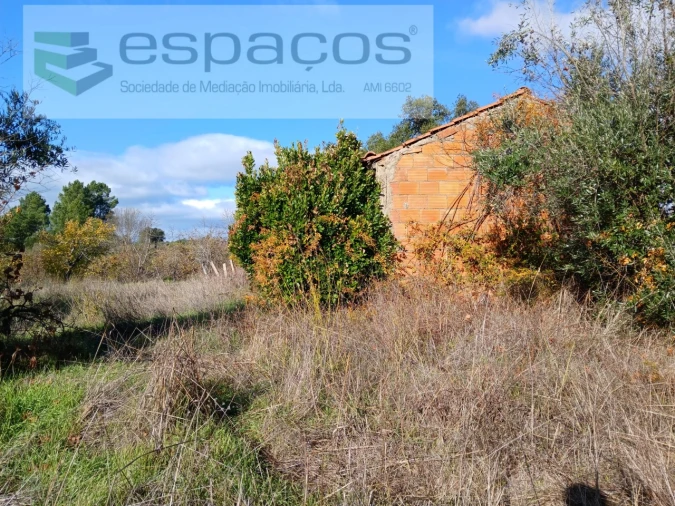 Quinta T1 para Venda em Freixial e Juncal do Campo Foto 5