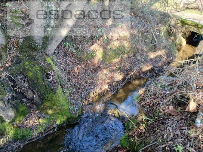 Quinta T1 para Venda em Freixial e Juncal do Campo Foto 8