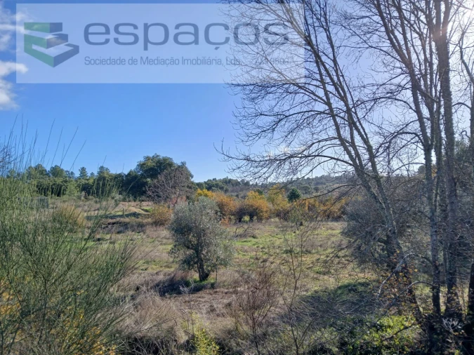 Quinta T1 para Venda em Freixial e Juncal do Campo Foto 12