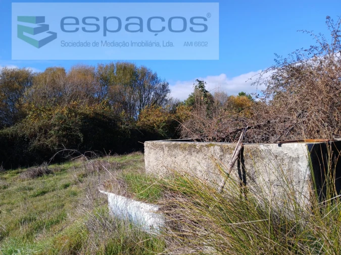 Quinta T1 para Venda em Freixial e Juncal do Campo Foto 17