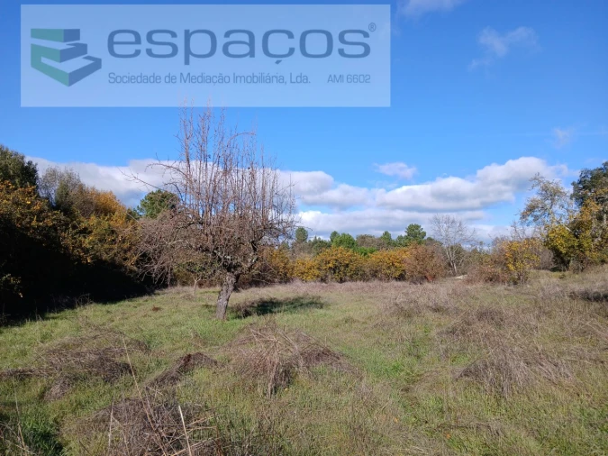 Quinta T1 para Venda em Freixial e Juncal do Campo Foto 18