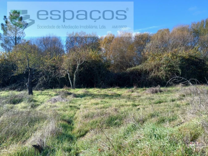 Quinta T1 para Venda em Freixial e Juncal do Campo Foto 19