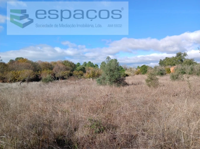 Quinta T1 para Venda em Freixial e Juncal do Campo Foto 23