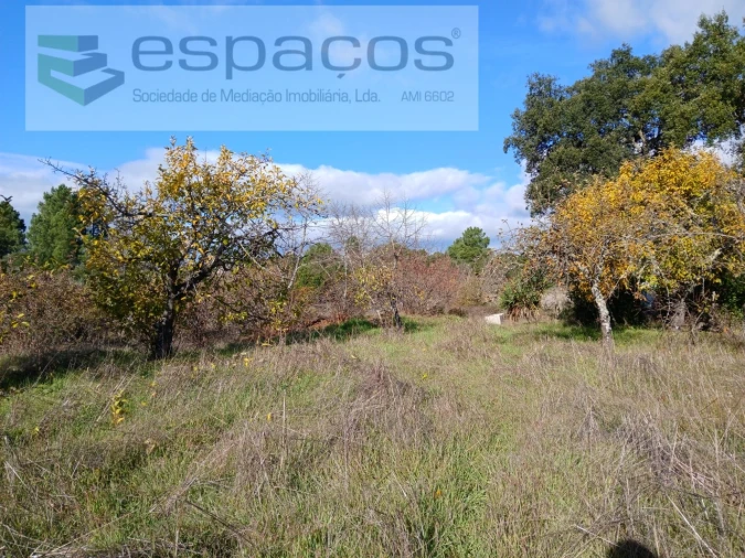 Quinta T1 para Venda em Freixial e Juncal do Campo Foto 26