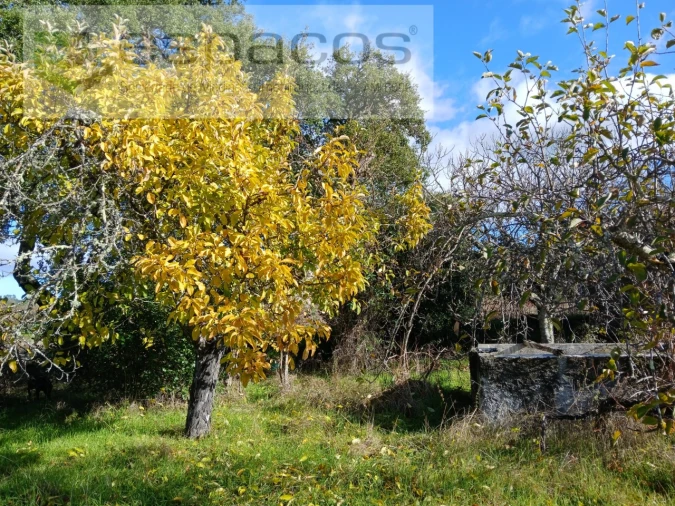 Quinta T1 para Venda em Freixial e Juncal do Campo Foto 27