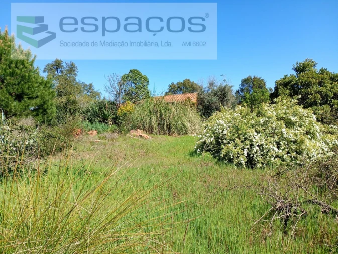 Quinta T1 para Venda em Freixial e Juncal do Campo Foto 3