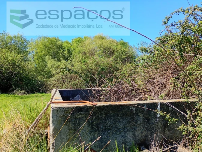 Quinta T1 para Venda em Freixial e Juncal do Campo Foto 9
