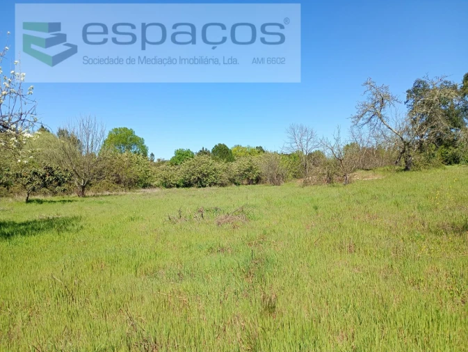 Quinta T1 para Venda em Freixial e Juncal do Campo Foto 17