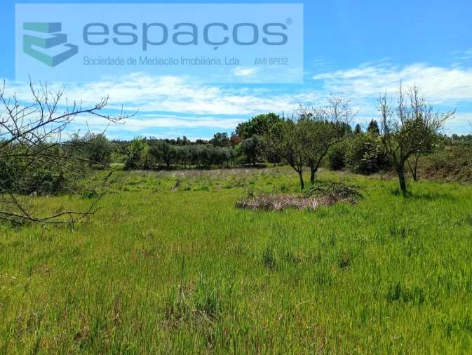 Quinta T1 para Venda em Freixial e Juncal do Campo Foto 18