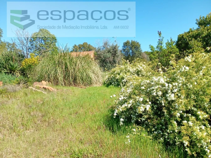Quinta T1 para Venda em Freixial e Juncal do Campo Foto 20