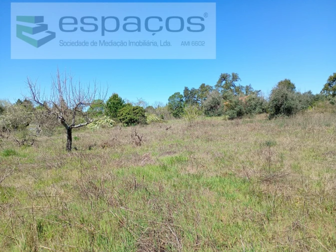 Quinta T1 para Venda em Freixial e Juncal do Campo Foto 21
