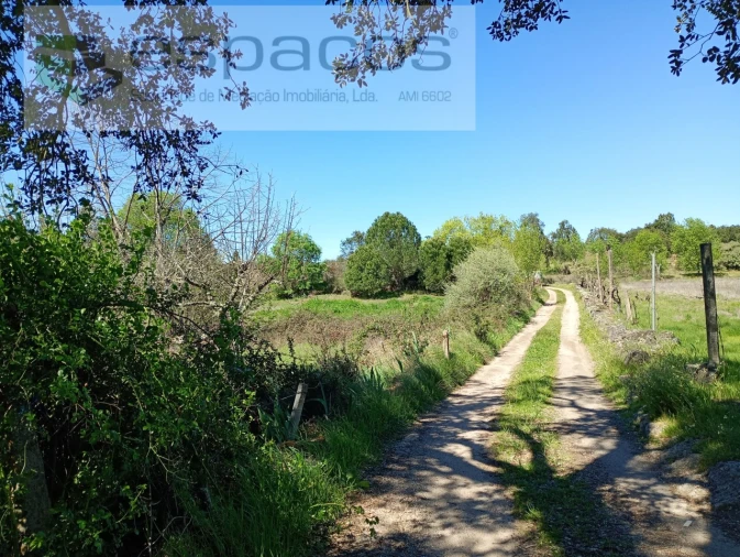 Quinta T1 para Venda em Freixial e Juncal do Campo Foto 23