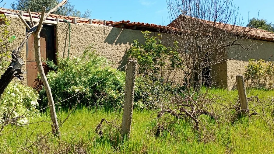 Quinta T1 para Venda em Freixial e Juncal do Campo