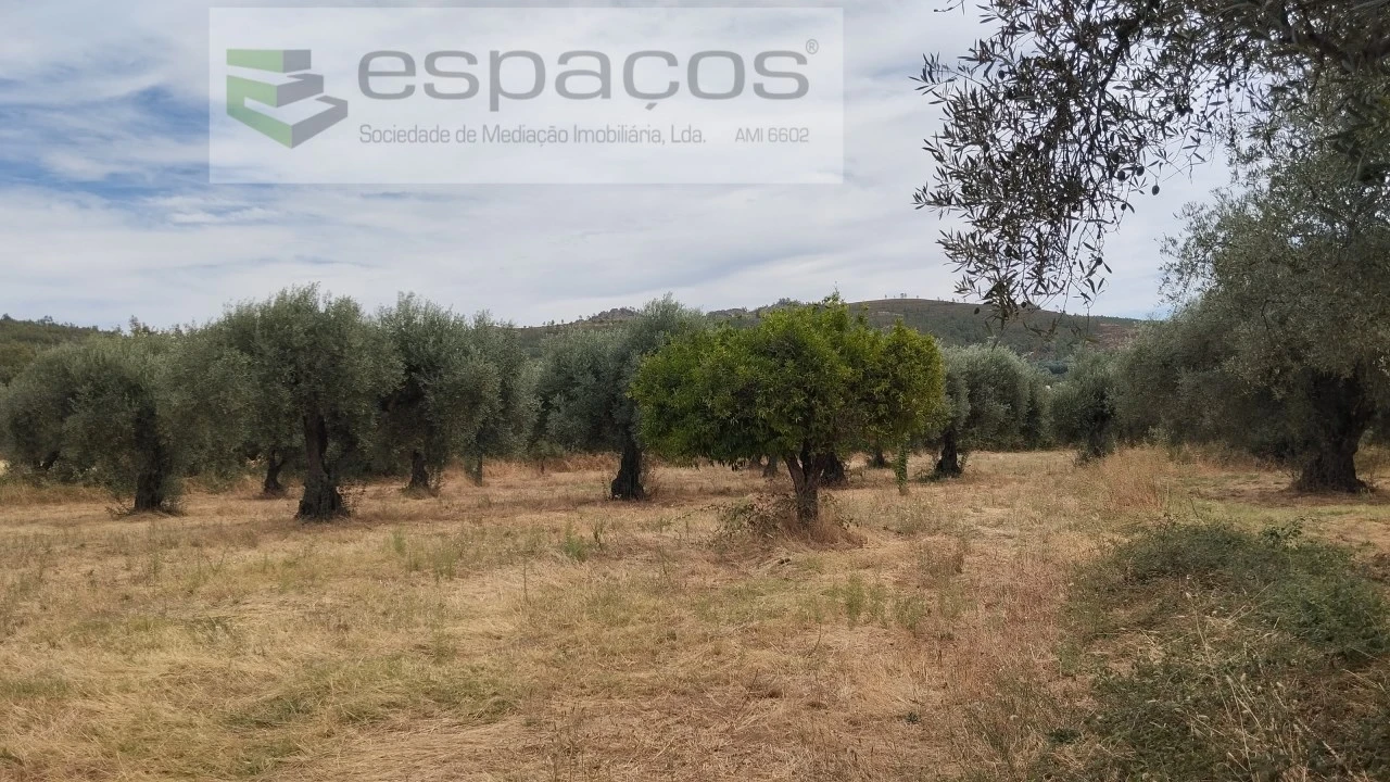 Terreno para Venda em Salvador Foto 3