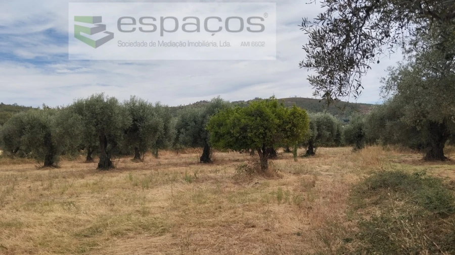 Terreno para Venda em Salvador Foto 3