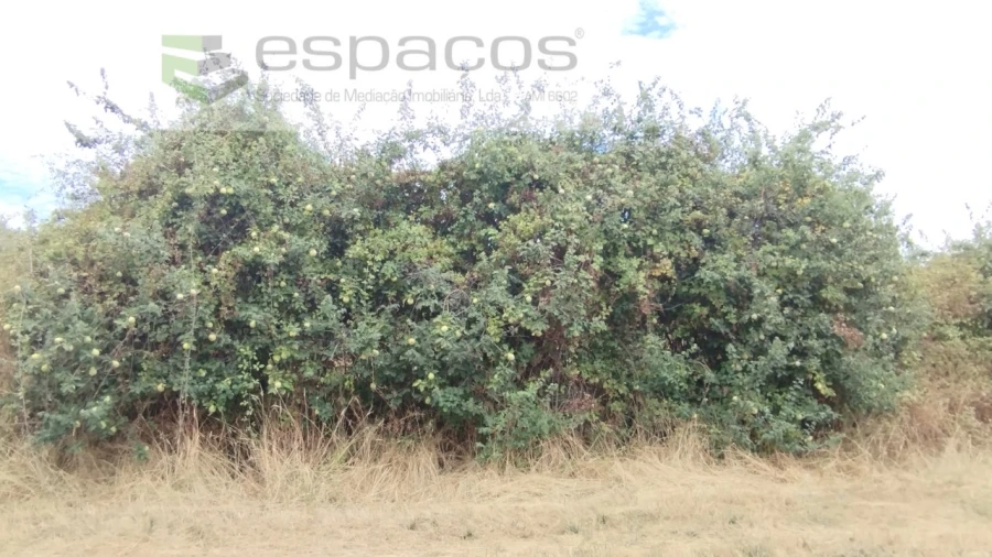 Terreno para Venda em Salvador Foto 11