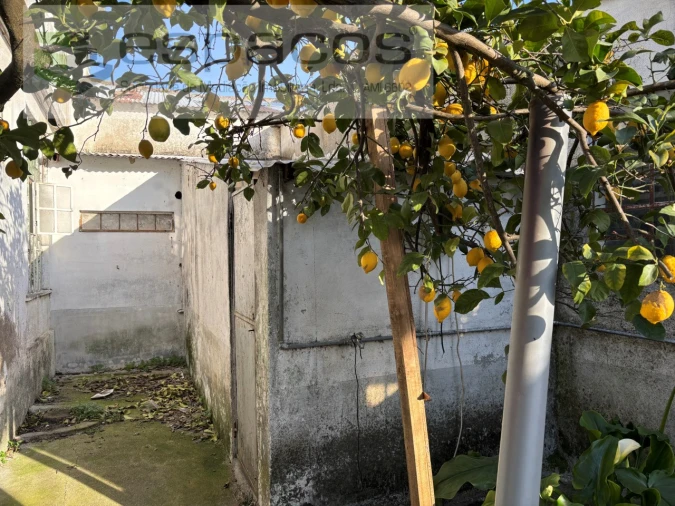Armazém para Venda em Fundão, Valverde, Donas, A. Joanes, A. Nova Cabo Foto 4