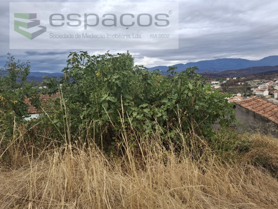 Moradia T2 para Venda em Silvares Foto 14