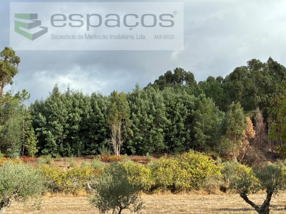 Quinta T1 para Venda em Paul Foto 20