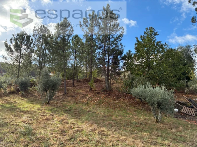 Quinta T1 para Venda em Paul Foto 12