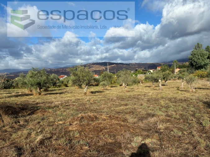 Quinta T1 para Venda em Paul Foto 19