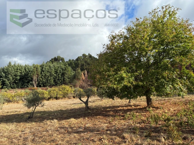 Quinta T1 para Venda em Paul Foto 21