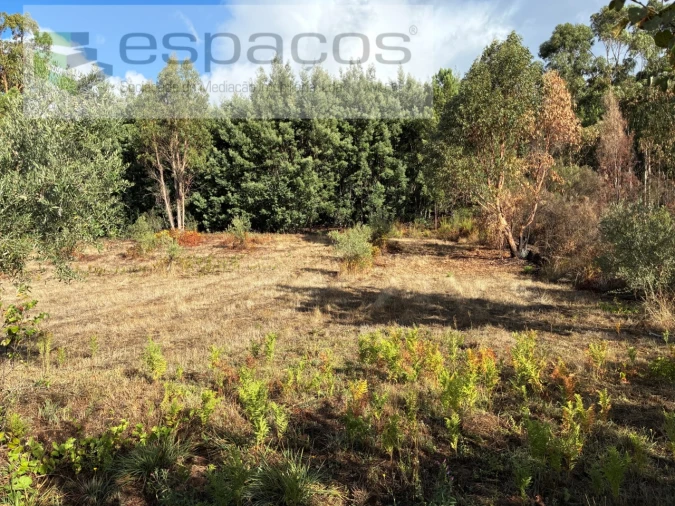 Quinta T1 para Venda em Paul Foto 23