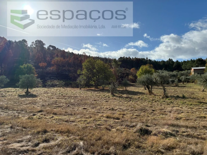 Quinta T1 para Venda em Paul Foto 25