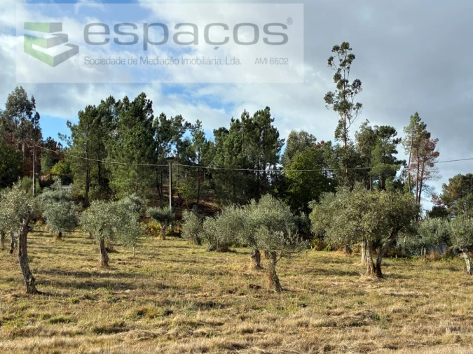 Quinta T1 para Venda em Paul Foto 26