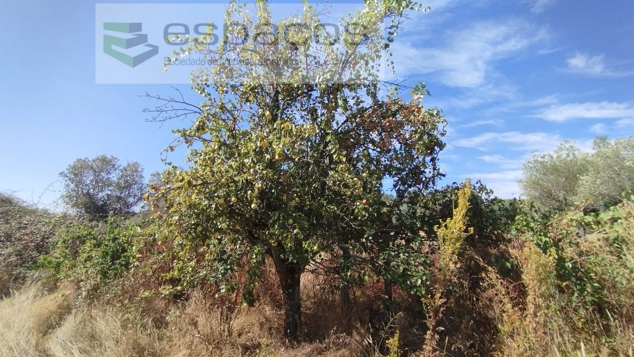 Quinta T1 para Venda em Salvador Foto 15