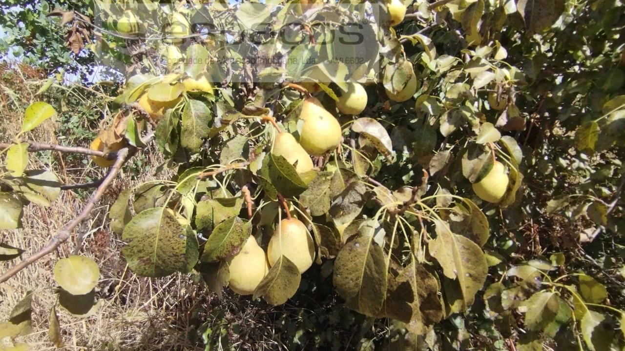 Quinta T1 para Venda em Salvador Foto 21