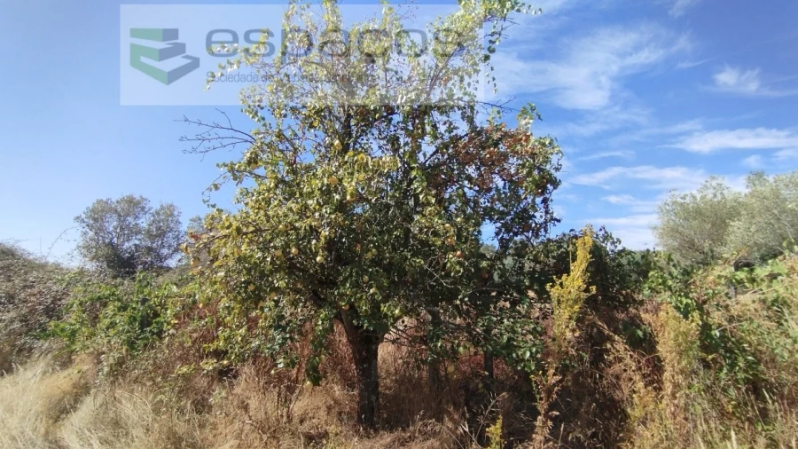 Quinta T1 para Venda em Salvador Foto 15