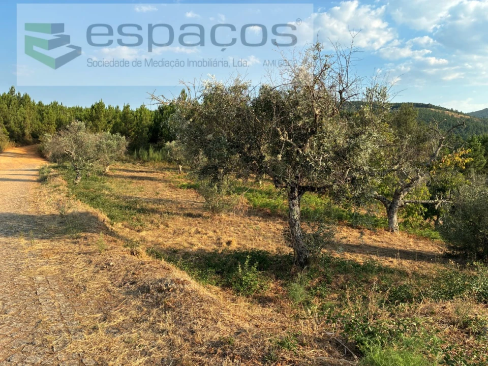 Terreno para Venda em Lavacolhos Foto 2