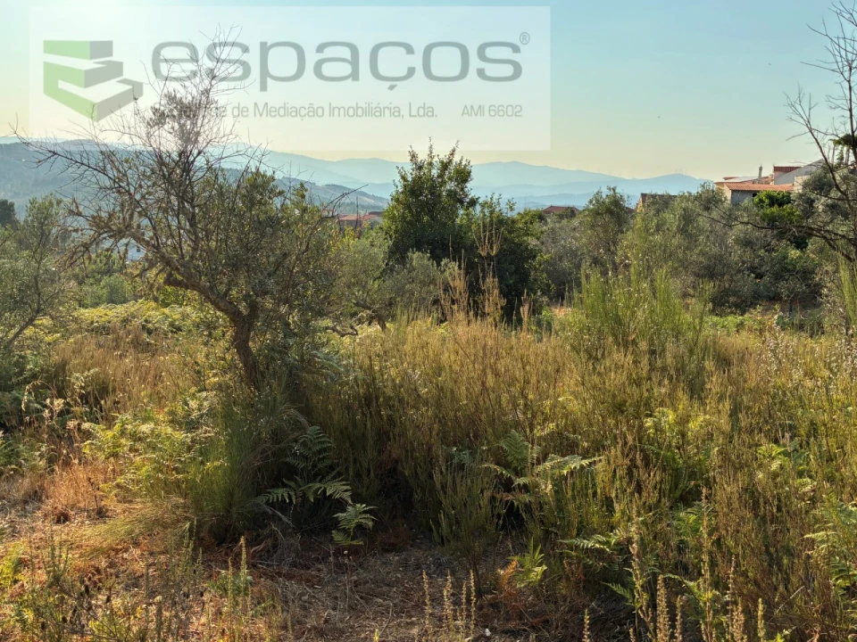 Terreno para Venda em Lavacolhos Foto 7