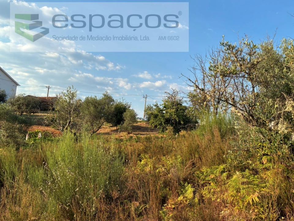 Terreno para Venda em Lavacolhos Foto 10