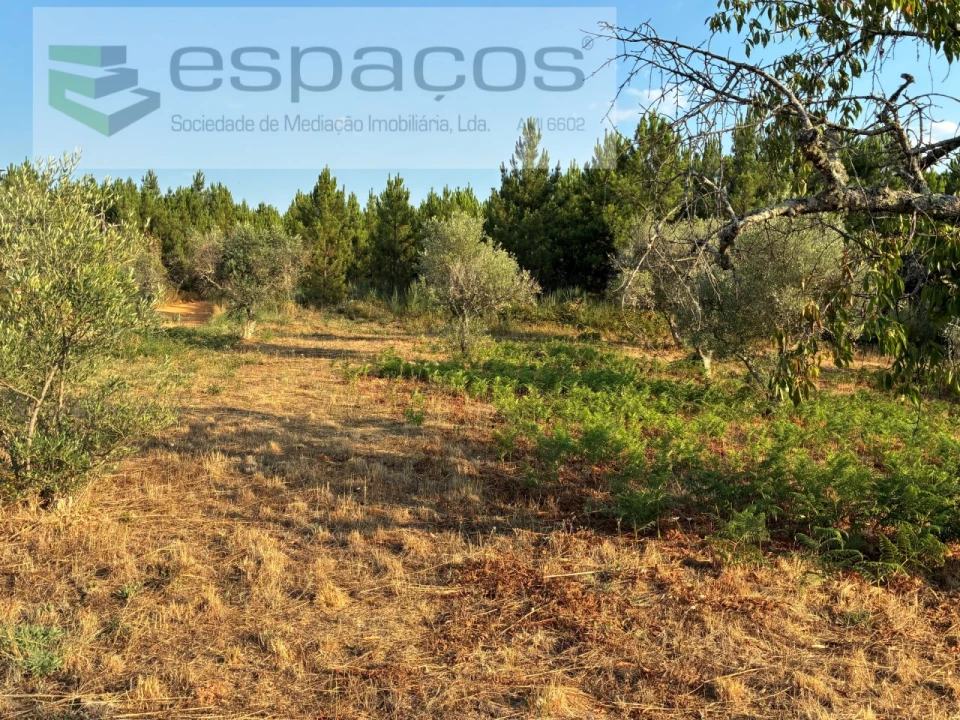 Terreno para Venda em Lavacolhos Foto 17