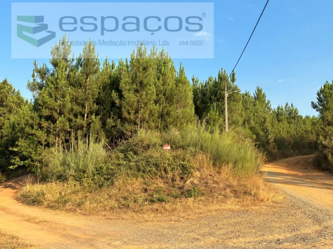 Terreno para Venda em Lavacolhos Foto 5